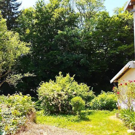 Les Glycines, Un Air De Campagne A La Ville Besançon Exterior foto